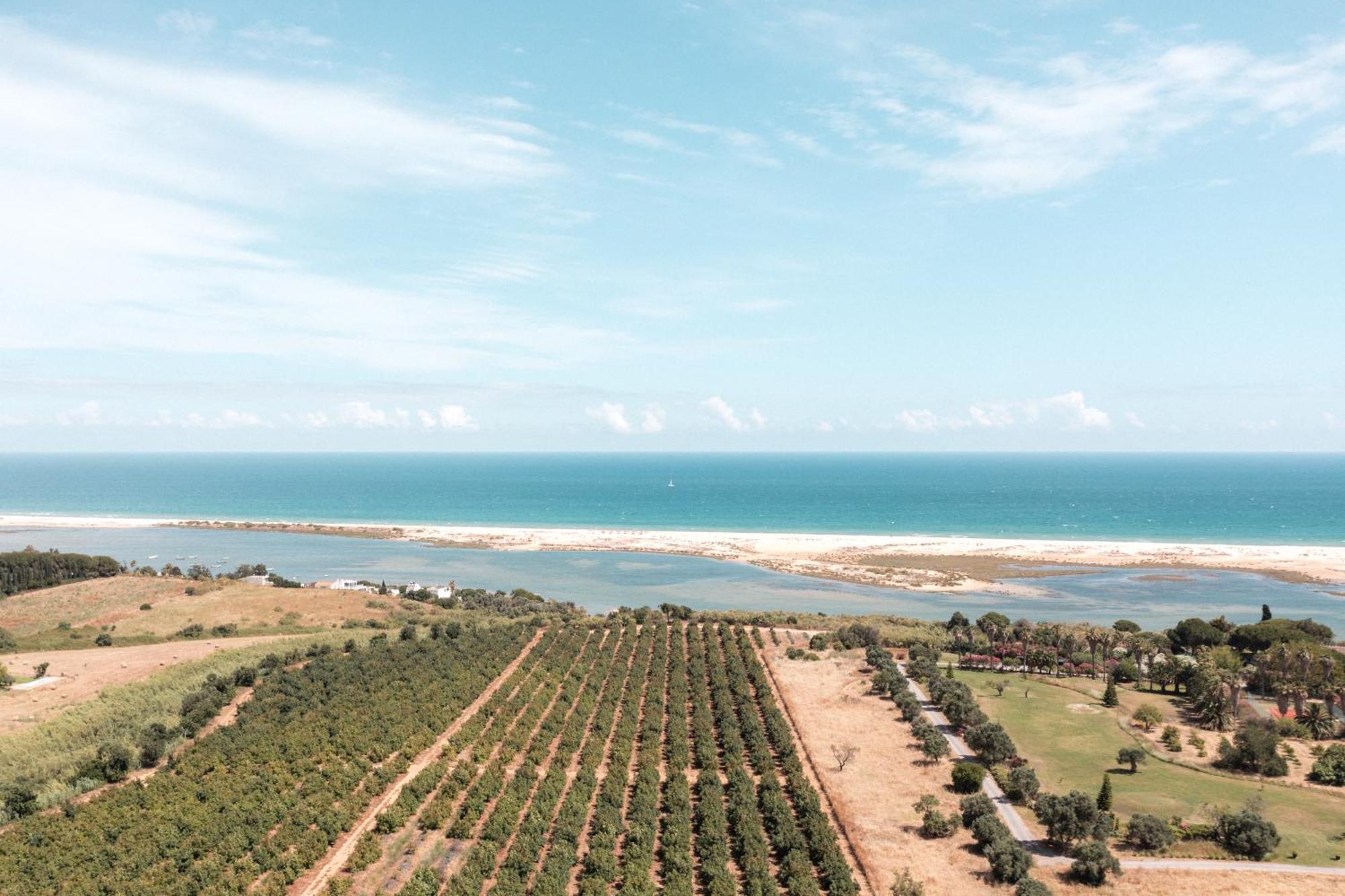 Casas Da Quinta De Cima Villa Vila Nova de Cacela Dış mekan fotoğraf